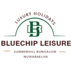 BLUECHIP LOGO_page-0001